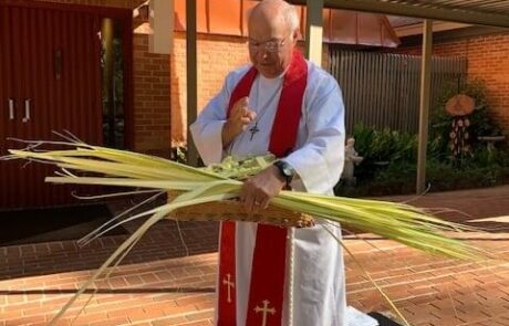 st-francis-goldsboro-palms_906_medium