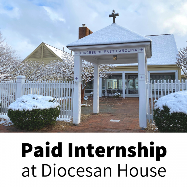 Paid Internship at Diocesan House