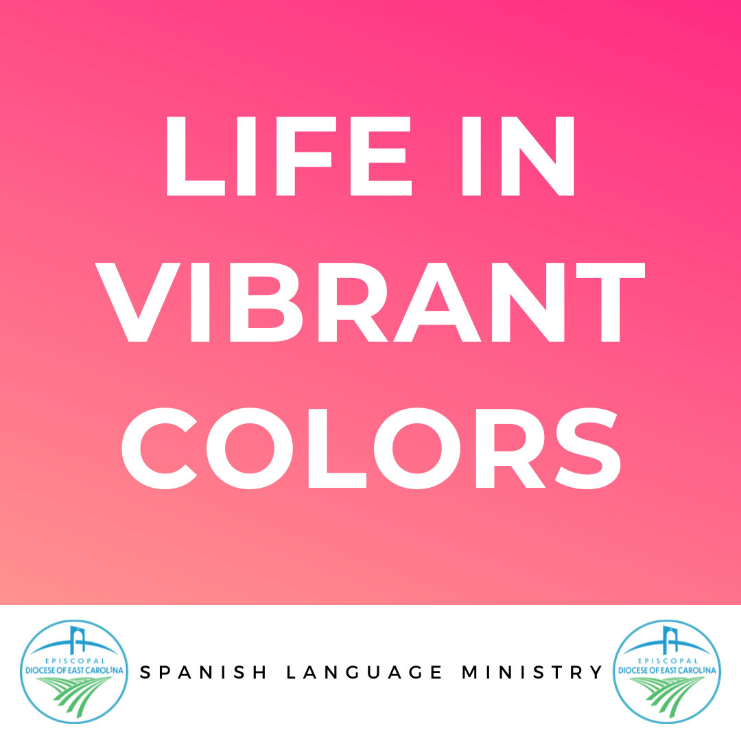 life-in-vibrant-colors-spanish-language-ministry-video-series_431