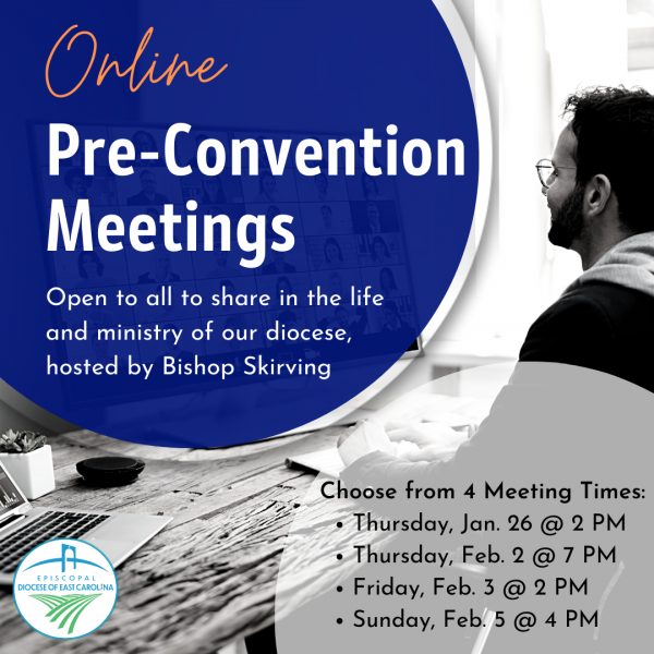 Online Pre-Convention Meetings